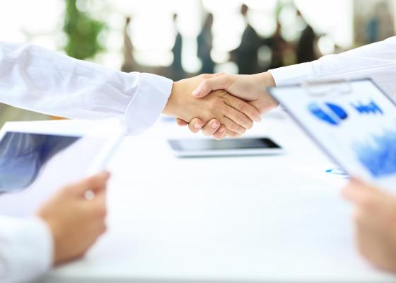 Closeup of a handshake.